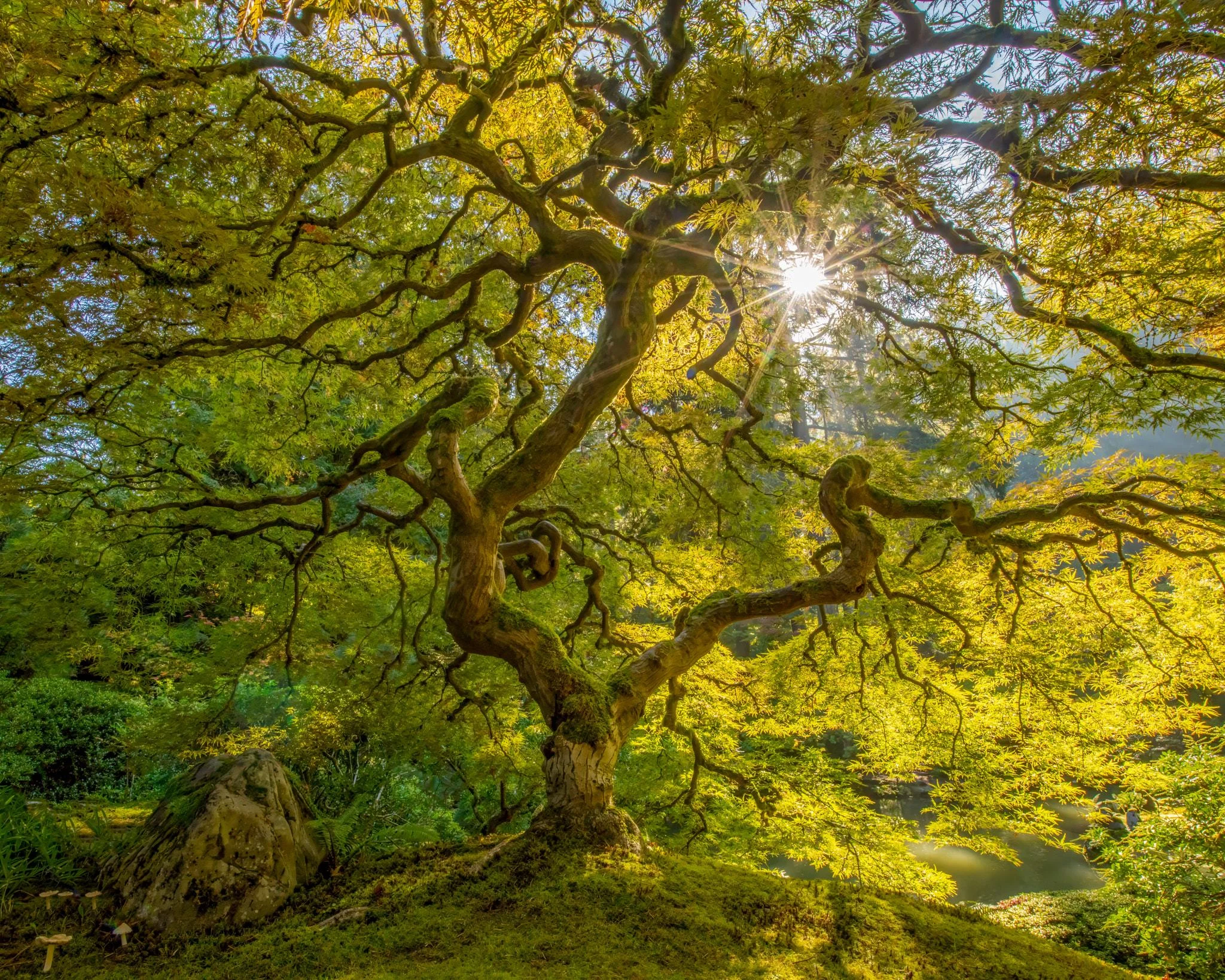 Internal Carbon Pricing: A Strategic Tool for Capital Allocation