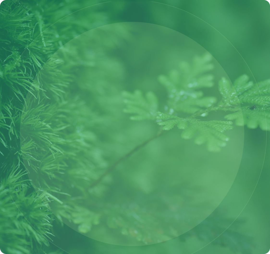 Foliage Texture